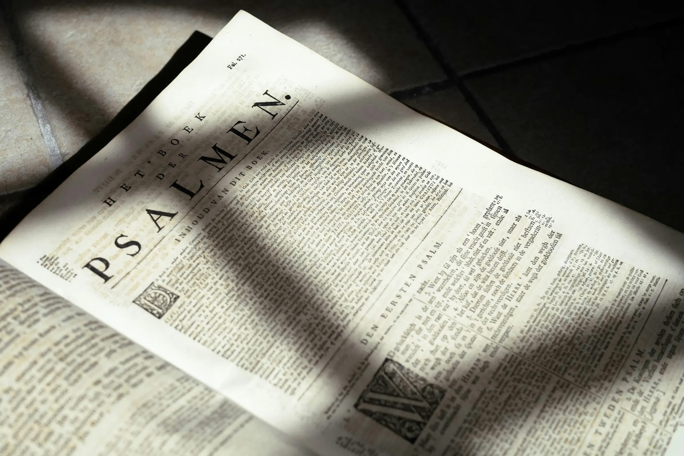 Get Involved